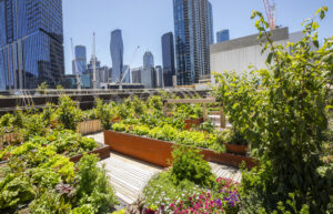 Green Space Urban Award - Melbourne Sky Farm Project (Image: Melbourne Sky Farm)