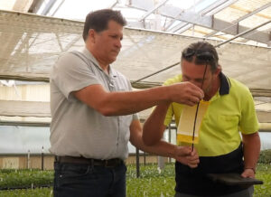 Barry Naylor (Left), GIA Extension Officer – QLD & Northern NSW, helping explain best management practice techniques to production nursery staff. The GIA Extension Officer Network is a levy-funded activity.