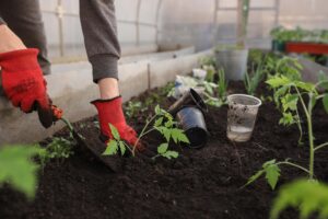 Therapeutic horticulture in action – employee wellbeing program (Image: Ekaterina Ershova, Pixabay)