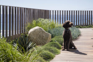 Include natural products such as stone (Image:Jason Busch/Landart)