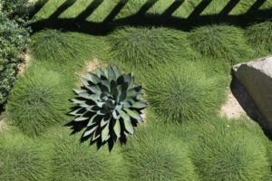 Good images represent your business (Image: Jason Busch/Landart)