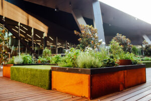 Biofilta food cubes at the Melbourne Convention and Exhibition Centre (Image: TSLC)