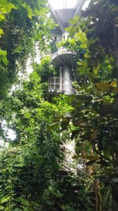 Inside the Tropicarium is a 15m tower with a viewing platform allowing perspectives down on a lush canopy of tropical plants