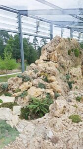 Plants in this alpine house come from the Himalayas, through Iran to the Sierra Nevada in Spain, or the mountain ranges in North America where they get little rain.Species include Dionysia aretiodes, D. bryoides from Iran, and Daphne jasminea from Greece