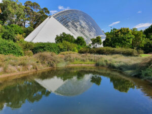 ABG wetland holding pond 2023