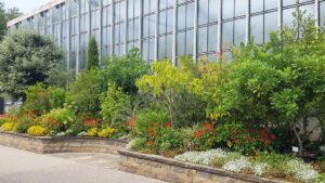 Shrubs and groundcovers planted in-ground and in containers outside specialised greenhouses