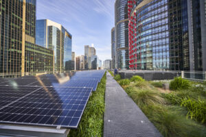 Solar panels integrated with green roof on Daramu House, Gadigal Land (Image: Lendlease)