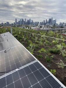 Photovoltaic panels (Image: Michael Casey)