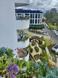 Folia Apartments biodiversity planting throughout all balcony gardens (Image: Michael Casey)