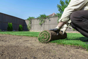 Laying real turf