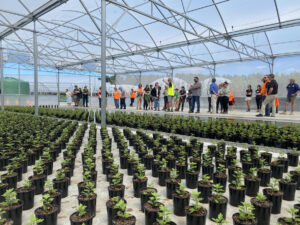 Westland Nurseries Open Day at Seven Mile Beach, Tasmania (Image: IPPS)