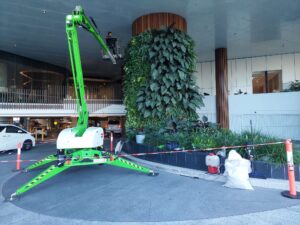 Boom lift used to maintain vertical greenery (Image: Fytogreen)