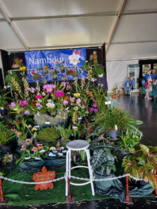 Display of the Nambour Orchid Society (Image: Patrick Regnault)