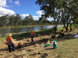 Capricorn catchments group discussing planting techniques