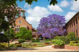 The large jacaranda in the main courtyard plays an important part of the school’s cultural activities