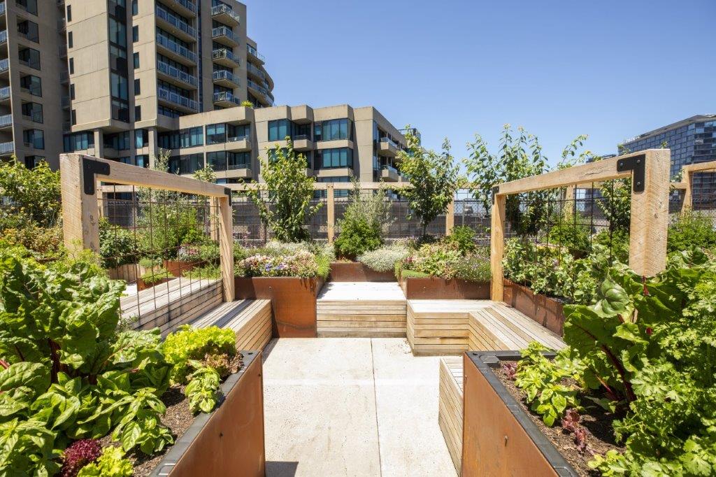 Fruitful design for unusual garden spaces - Hort Journal Australia