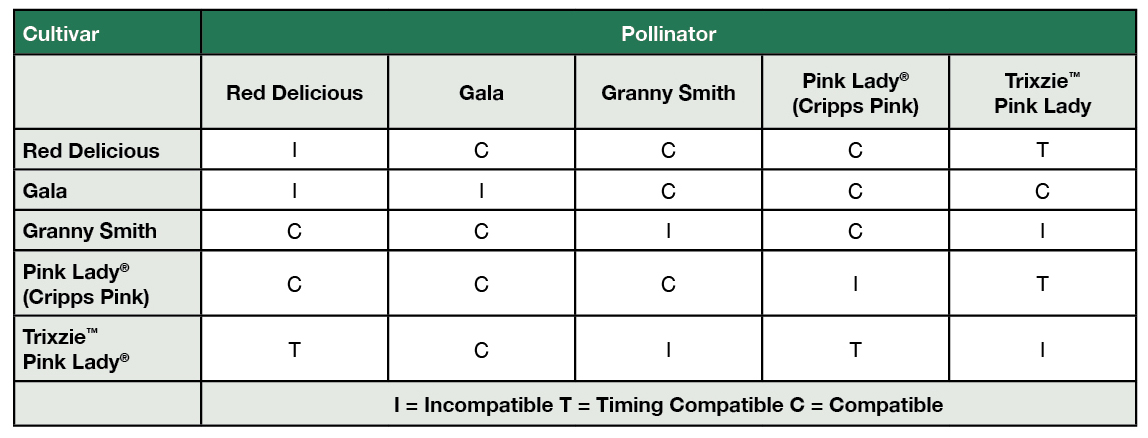 Citrus Tree Pollination Chart.pdf Pollination – realising the potential - Hort Journal Australia
