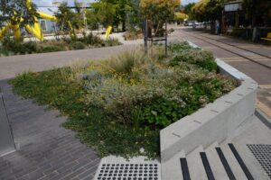 The garden beds at the Inveresk Precinct in Launceston, Tasmania come in different shapes and sizes, making this public landscape more visually appealing