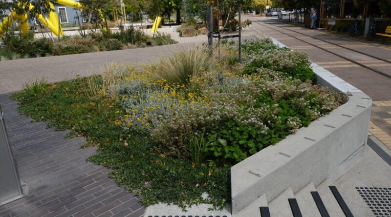 The garden beds at the Inveresk Precinct in Launceston, Tasmania come in different shapes and sizes, making this public landscape more visually appealing