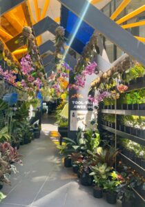 The City of Melbourne pop-up space program is dedicated to transferring skills on plant choices and planting skills to green our laneways, courtyards and balconies (Image: Michael Casey)