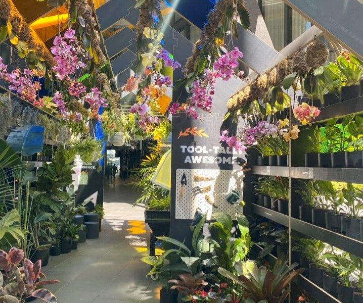 The City of Melbourne pop-up space program is dedicated to transferring skills on plant choices and planting skills to green our laneways, courtyards and balconies (Image: Michael Casey)