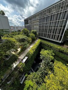 One of the many greening projects designed to soften the built environment – Khoo Teck Puat Hospital, Singapore (Image: Michael Casey)