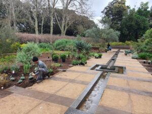 Planting in action (Image: Leonie Scriven)