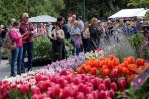 An abundance of plants to admire, photograph and purchase (Image: MIFGS)