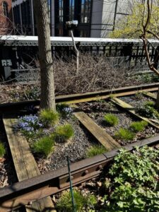 The High Line is a 1.45-mile-long elevated park built on a former New York Central Railroad (Image: Michael Casey)