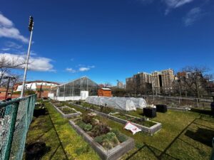 Riverbank State Park urban farm, a welcome addition to the Harlem precinct (Image: Michael Casey)