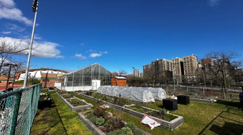 Riverbank State Park urban farm, a welcome addition to the Harlem precinct (Image: Michael Casey)