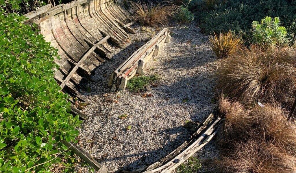 Replicating a habitat - the coastal garden (Image: Barbara Wheeler)