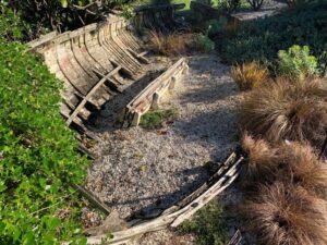 Replicating a habitat - the coastal garden (Image: Barbara Wheeler)