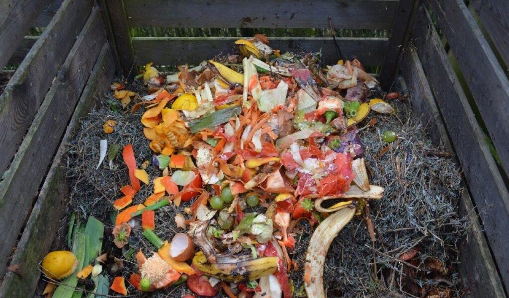 Backyard compost bin (Image: Ben Kerckx, Pixabay)
