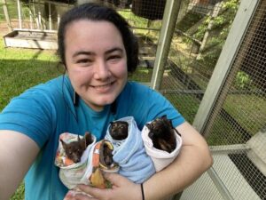 Hannah van Alphen recommends small aperture netting of fruit trees to protect animals especially flying foxes (seen here), bats, birds, reptiles and possums