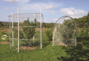 Two different ways to cage your client’s fruit trees that will minimise harm to wildlife