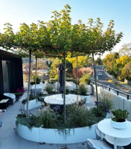 Built shade structures allow for the integration of plants and infrastructure (Image: Michael Casey)