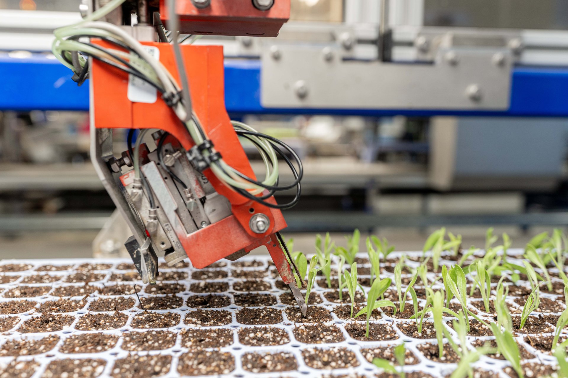 High-tech and ‘better mousetraps’ - Hort Journal Australia