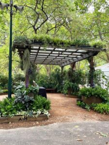 Adding in greenery to a conventional pergola adds another level of shade coverage (Image: Michael Casey)