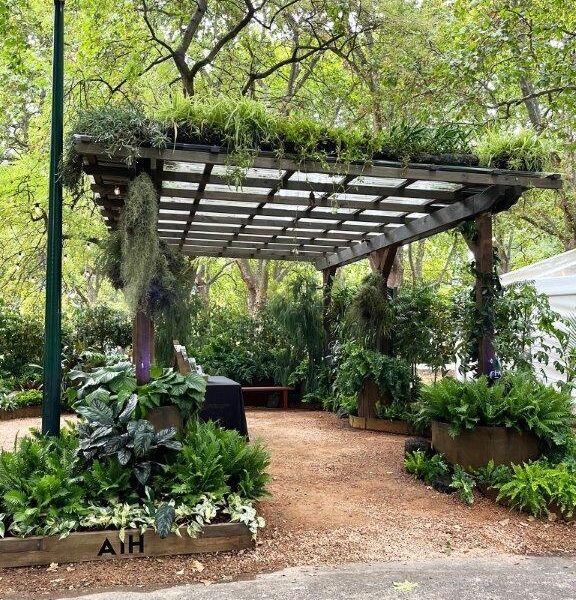 Adding in greenery to a conventional pergola adds another level of shade coverage (Image: Michael Casey)