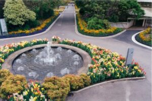 Melbourne Zoo Main drive in the mid 1980’s (Image: Zoos Victoria)