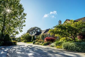 Classical plantings are a feature of the gardens at Annesley, with weeping cherries surrounded by lush underplantings of selected perennials