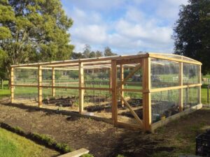 Hardwood sleepers, rot-resistant macrocarpa posts, and 25mm galvanised aviary mesh are effective at keeping wildlife out of a productive garden (Image: Ludovic Vilbert, Inwardout Studio)