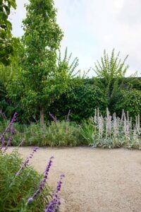 Screening plants offer privacy (image supplied by Nick Bowers)