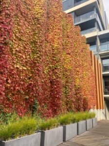 This is a great example of developers and designers working together to enhance biodiversity into our built environment