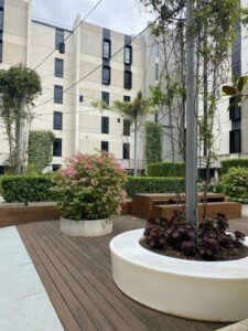 Designers have ensured all spaces are utilised and enhanced with greenery in this spacious inner-city courtyard