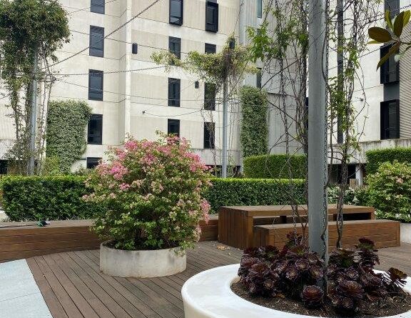 Designers have ensured all spaces are utilised and enhanced with greenery in this spacious inner-city courtyard