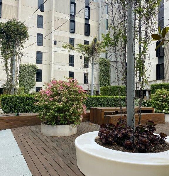 Designers have ensured all spaces are utilised and enhanced with greenery in this spacious inner-city courtyard