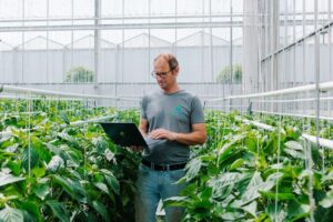 Priva’s ultimate integration platform, Priva One, provides growers with the most relevant insights on whether their crop goals are achieved and what requires their attention