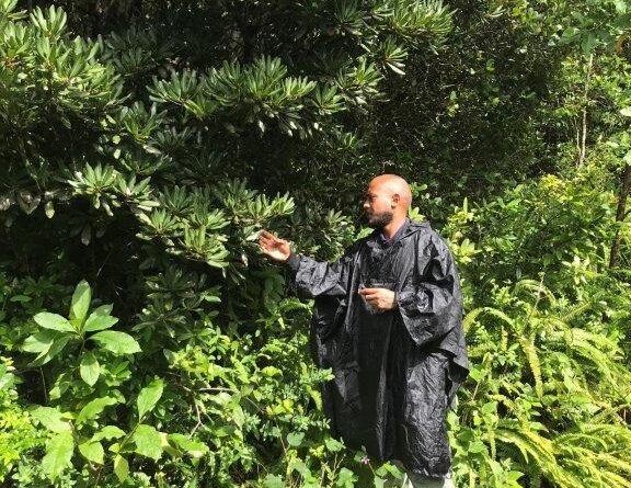 Giani Abajee at Mondrain Nature Reserve, Mauritius (Image: Dermot Molloy)